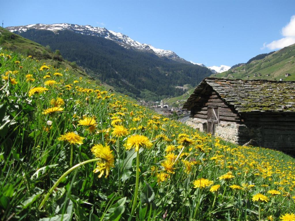 Ferienwohnung Mura Vals Exteriér fotografie