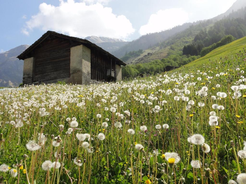 Ferienwohnung Mura Vals Exteriér fotografie